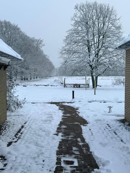 Wandelpad in de sneeuw